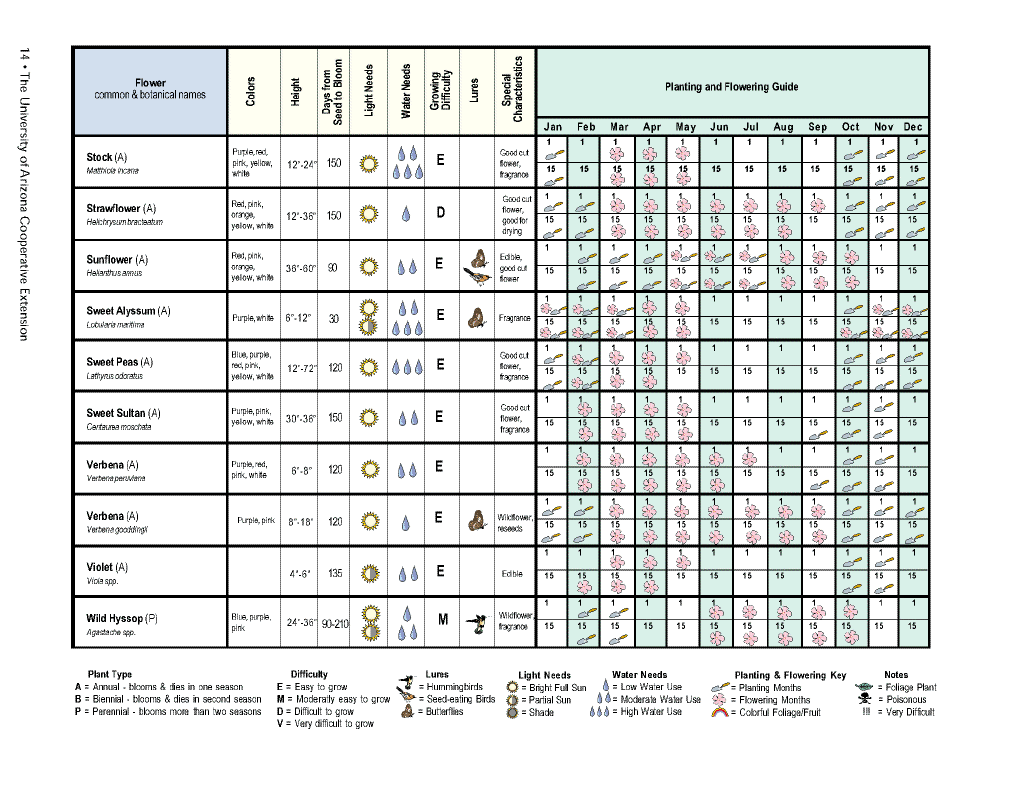 Flower planting calendar14